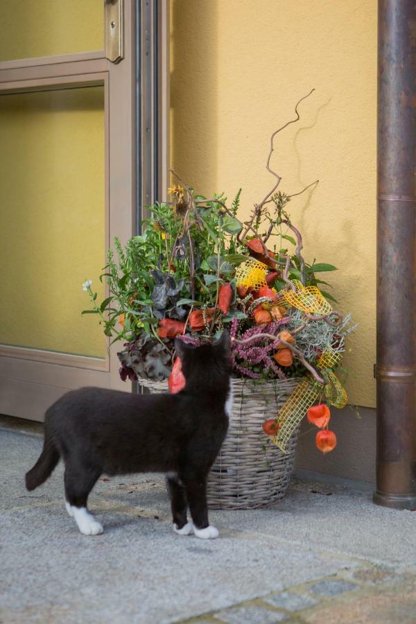 Pension Raupennest Mit Blockhaussauna Bautzen Exterior foto